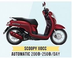 Scoopy 110 cc